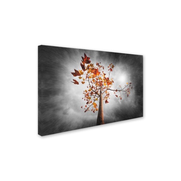 Philippe Sainte-Laudy 'Autumn Rain' Canvas Art,16x24